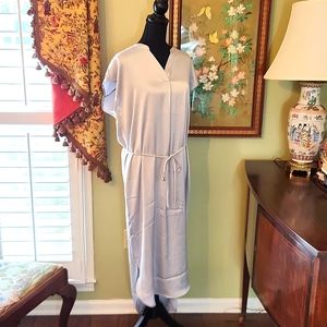 Banana Republic Factory Silver Dolman Sleeve Dress